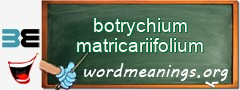 WordMeaning blackboard for botrychium matricariifolium